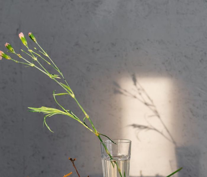 Person feeling refreshed and serene after a light workout.